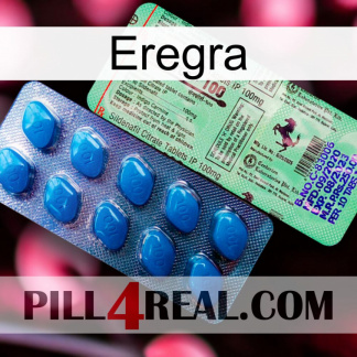 Eregra new02